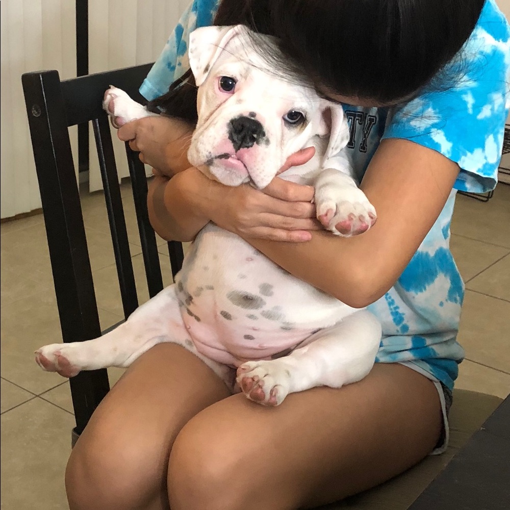 Meet your Posher, Tri